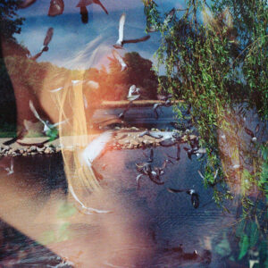 Girls in Airports Kaikoura