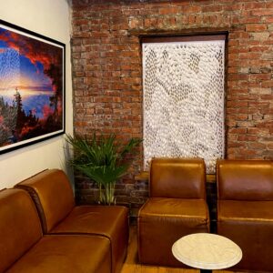 Ferns through Basalt ( scroll-edge)